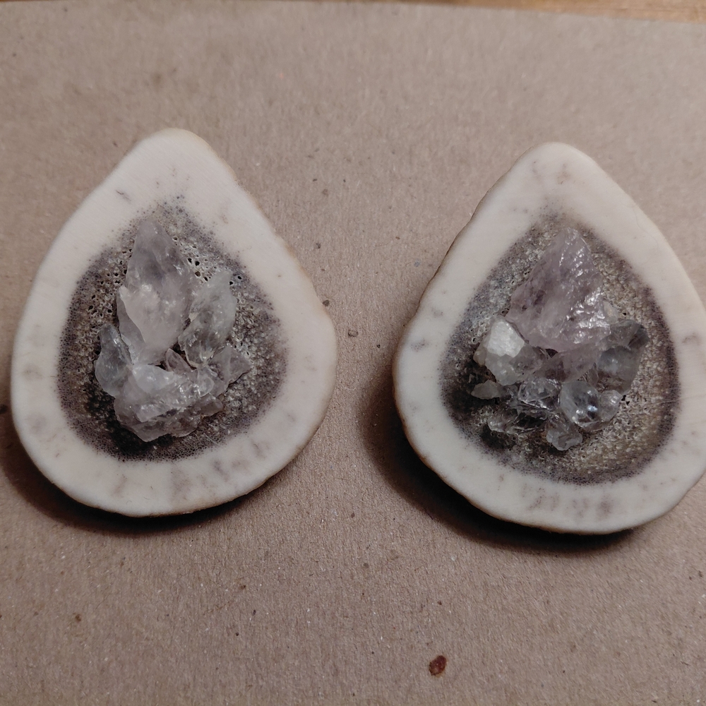 Antler Bone Earrings